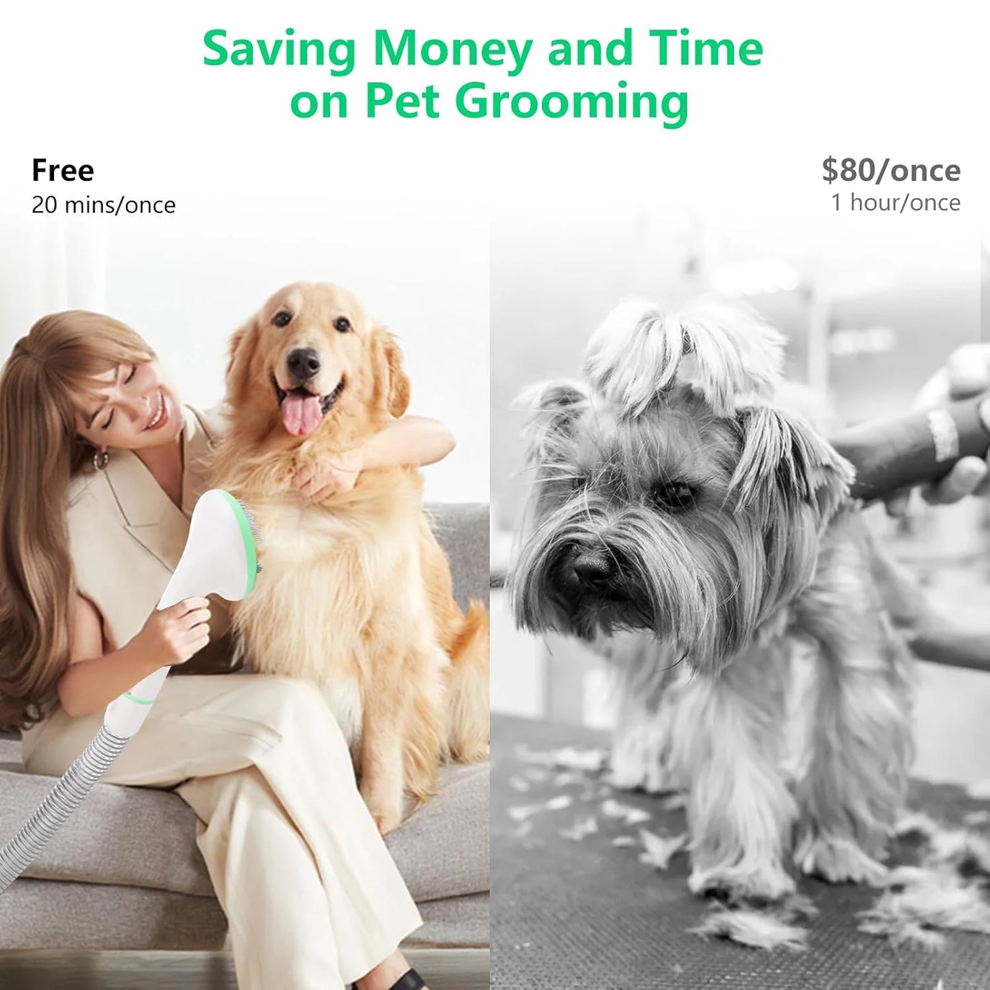 2L Pet Grooming Vacuum Kit – Ultra-Quiet, 99% Hair Removal, Professional 5-in-1 Tools for Dogs & Cats