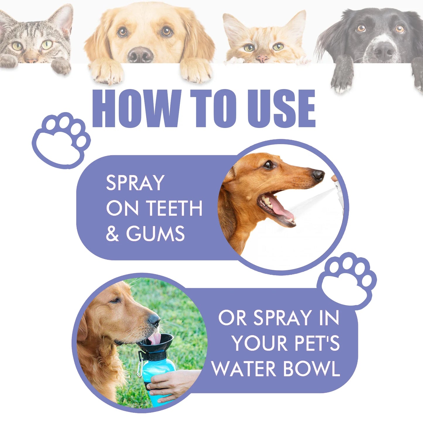 Oral Care Pet Spray – Tartar & Plaque Remover, Breath Freshener, No Brush Needed (30ml)