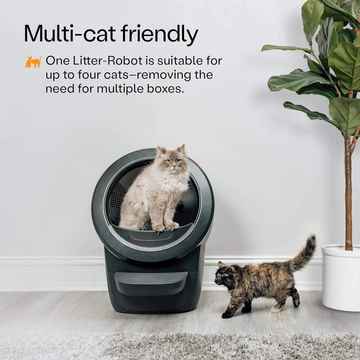 Litter-Robot 4 Bundle – Automatic Self-Cleaning Cat Litter Box (Black)