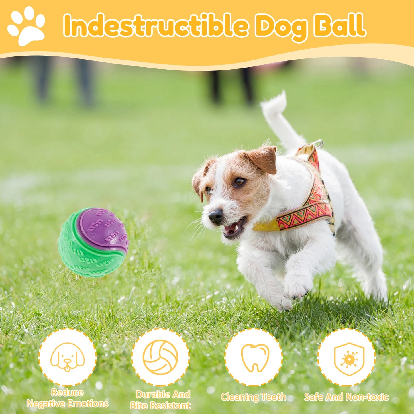 6PCS Interactive Dog Balls – Bite-Resistant Chew & Teeth Care