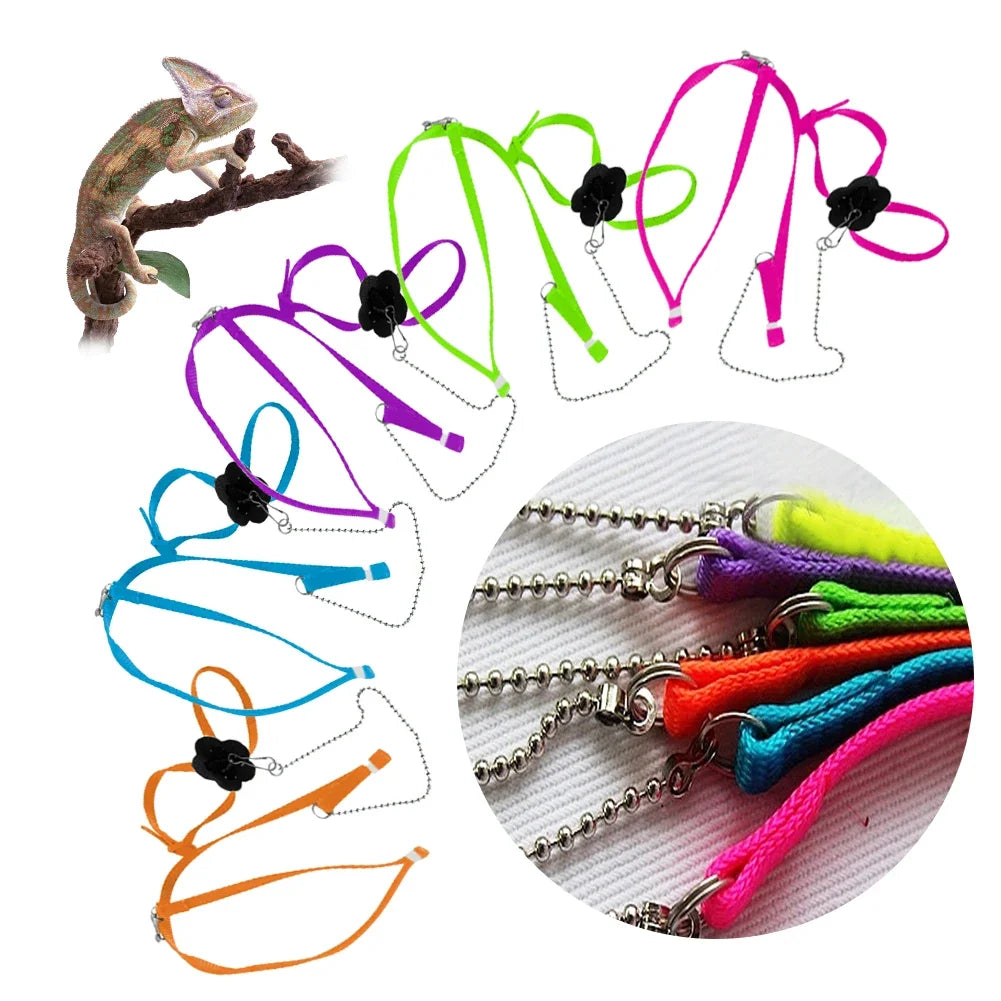Adjustable Reptile Lizard Harness & Leash – Anti-Bite Chest Strap for Training & Walking