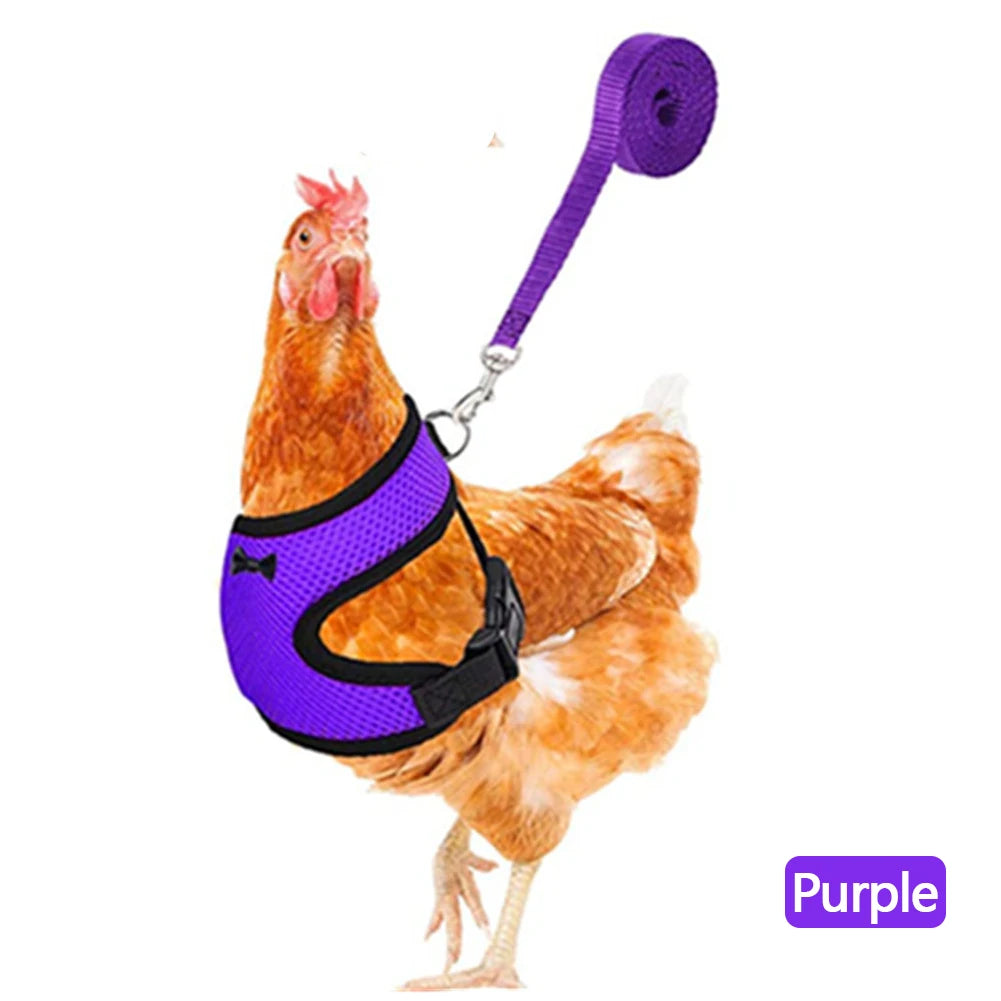 Chicken & Duck Vest Harness – Breathable Mesh Pet Belt with Bow, Collar & Leash