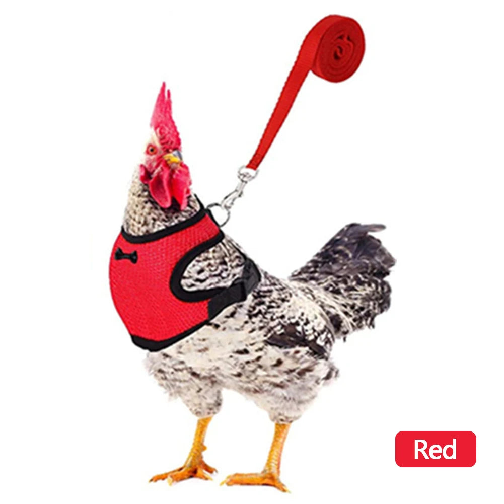 Chicken & Duck Vest Harness – Breathable Mesh Pet Belt with Bow, Collar & Leash