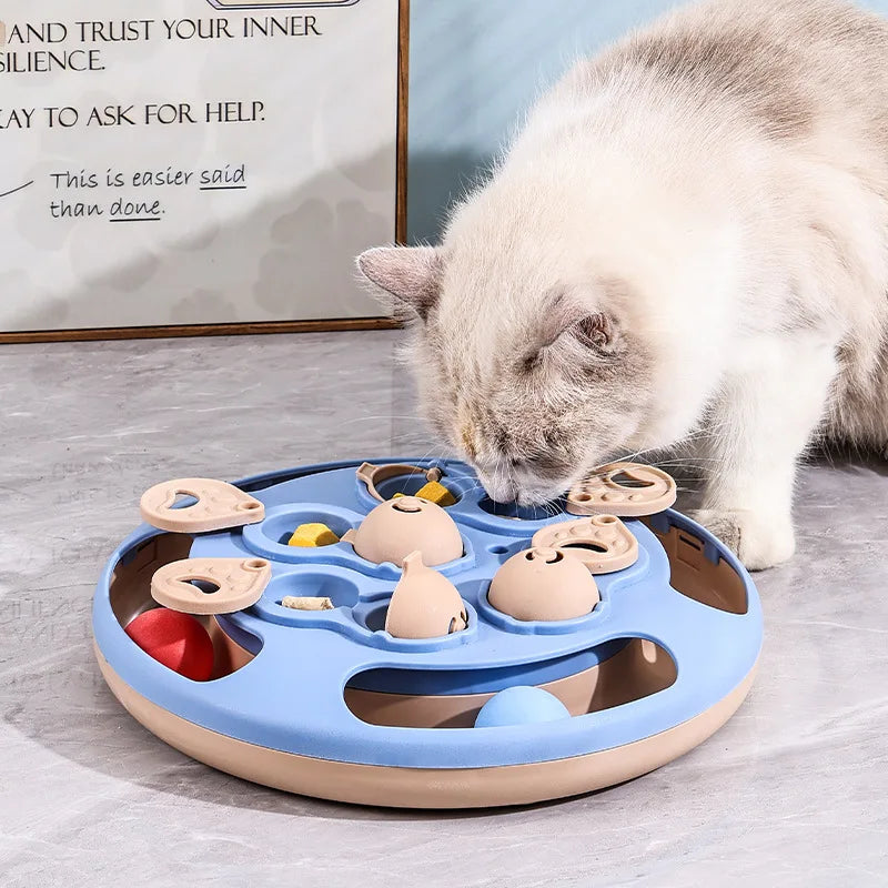 Interactive Cat Toy – Slow Feeder Turntable for Indoor Cats & Mental Stimulation
