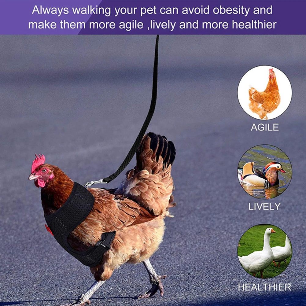Chicken & Duck Vest Harness – Breathable Mesh Pet Belt with Bow, Collar & Leash