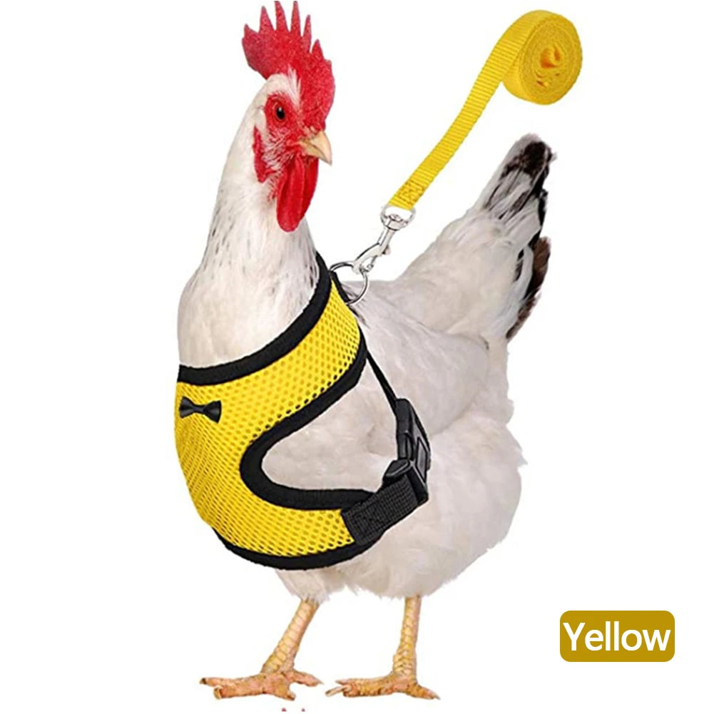 Chicken & Duck Vest Harness – Breathable Mesh Pet Belt with Bow, Collar & Leash