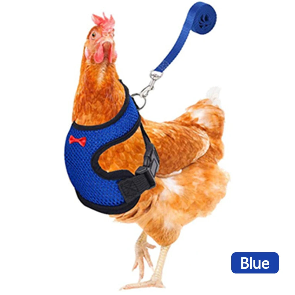 Chicken & Duck Vest Harness – Breathable Mesh Pet Belt with Bow, Collar & Leash