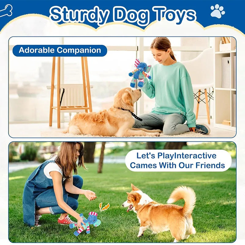 Interactive Dog Toy – Squeak & Rope, Teething & Heavy Chewers