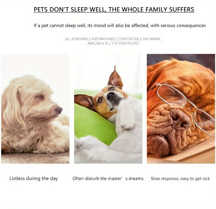 Cozy Dog & Cat Bed – Winter Sofa Mat, Cushion & Basket for All Sizes