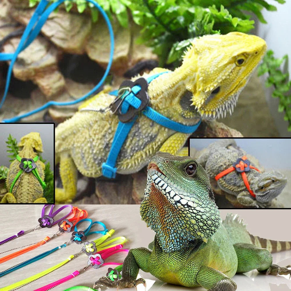 Anti-Bite Reptile Harness & Leash – Adjustable Walking Rope for Lizards