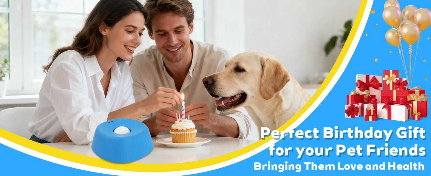 "Slow Feeder Dog Lick Bowl – Anti-Choke, Non-Slip 3/4 Cup"