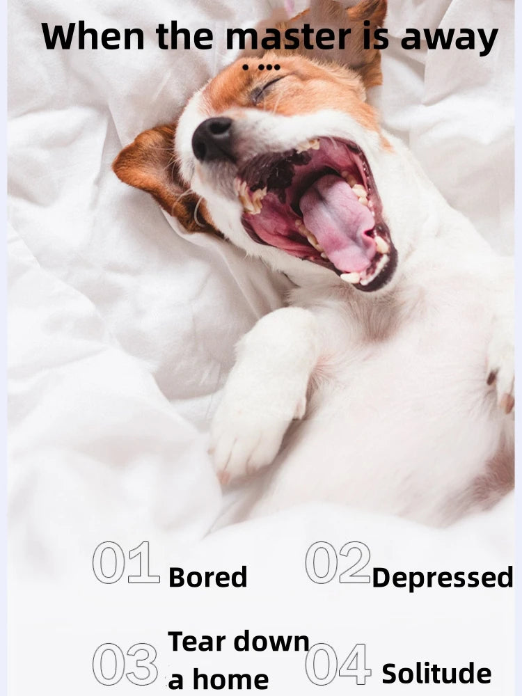 Interactive Carrot Plush Dog Toy – 2-in-1 Puzzle & Nosework Feeder