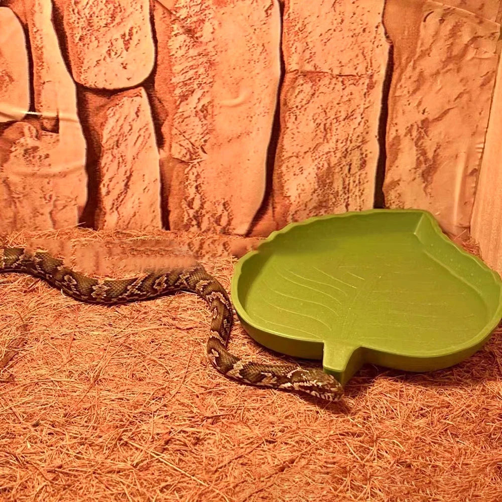 Coconut Fiber Terrarium Liner – Natural Coir Mat for Turtles, Lizards & Snakes