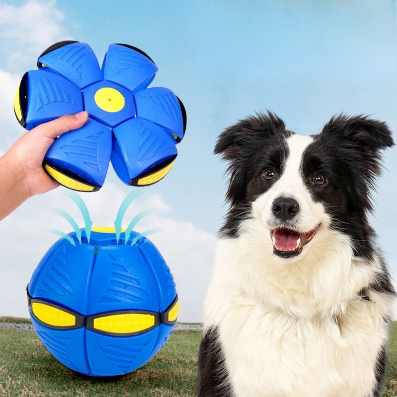 Interactive UFO Ball – Magic Dog Toy for Outdoor Training & Play