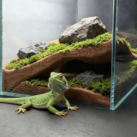 3D Reptile Cave Hideout – Underground Shelter for Lizards, Turtles & Spiders