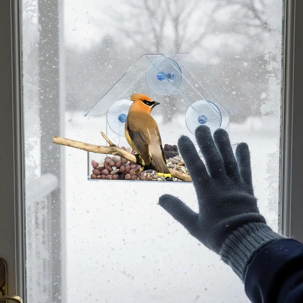 Outdoor Window Bird Feeder – Transparent Suction Cup Feeder for Garden & Balcony
