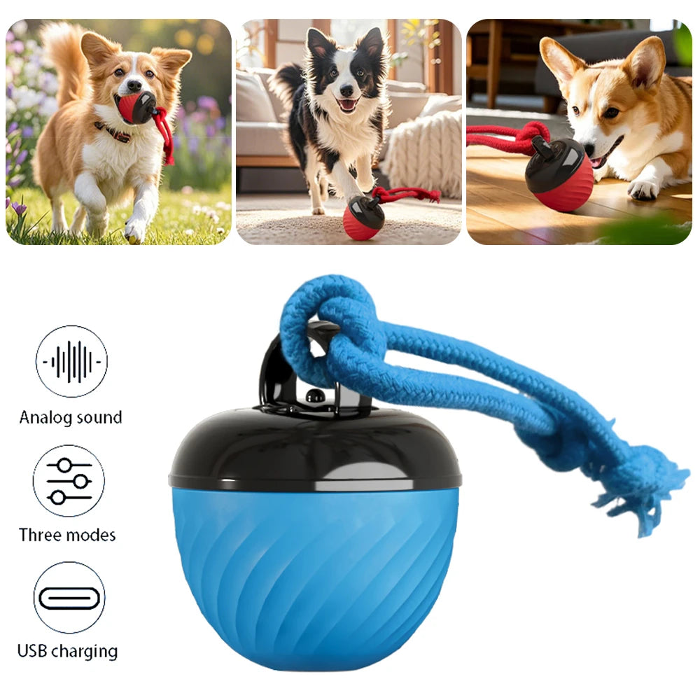 Automatic Moving Ball for Dogs – Interactive, Rechargeable Puppy Toy