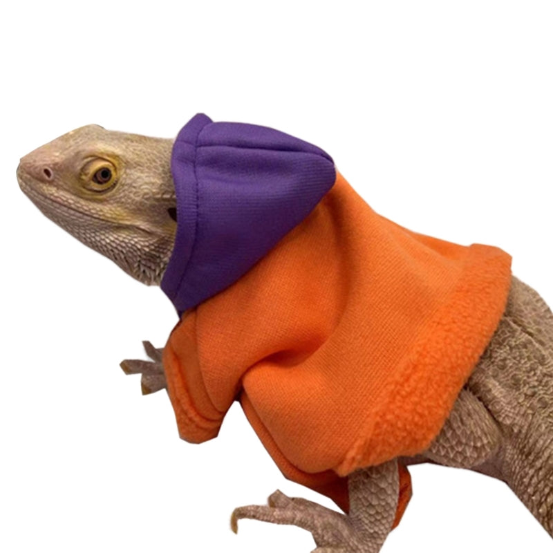 Bearded Dragon Costume for Lizards Hoodie Coat Reptiles Clothes Photo Party R7UB