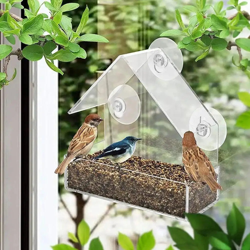 Outdoor Window Bird Feeder – Transparent Suction Cup Feeder for Garden & Balcony