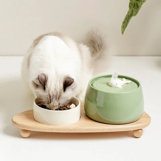 "Ceramic Cat Water Fountain 1.3L – USB Rechargeable & Filtered"