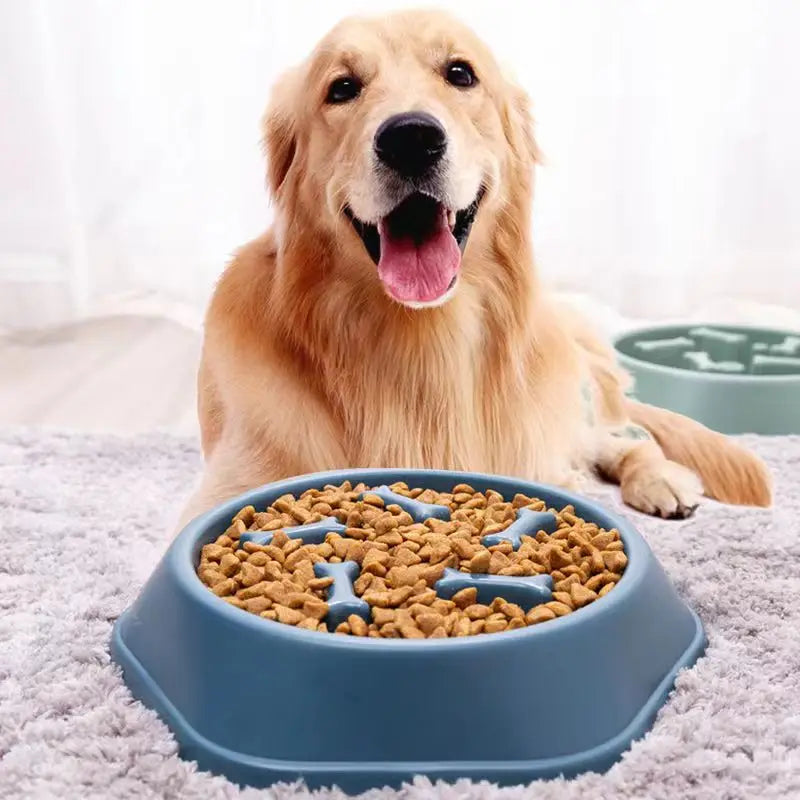 "Slow Feeder Dog Bowl – Anti-Choke, Non-Slip Puzzle Design"