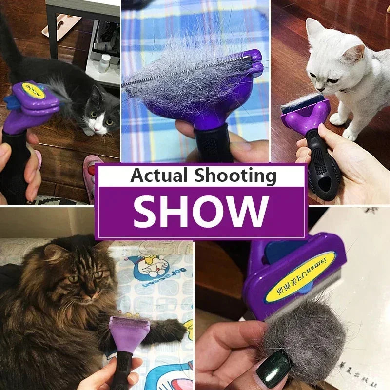 Cat & Dog Hair Removal Comb – Pet Grooming & Massage Brush