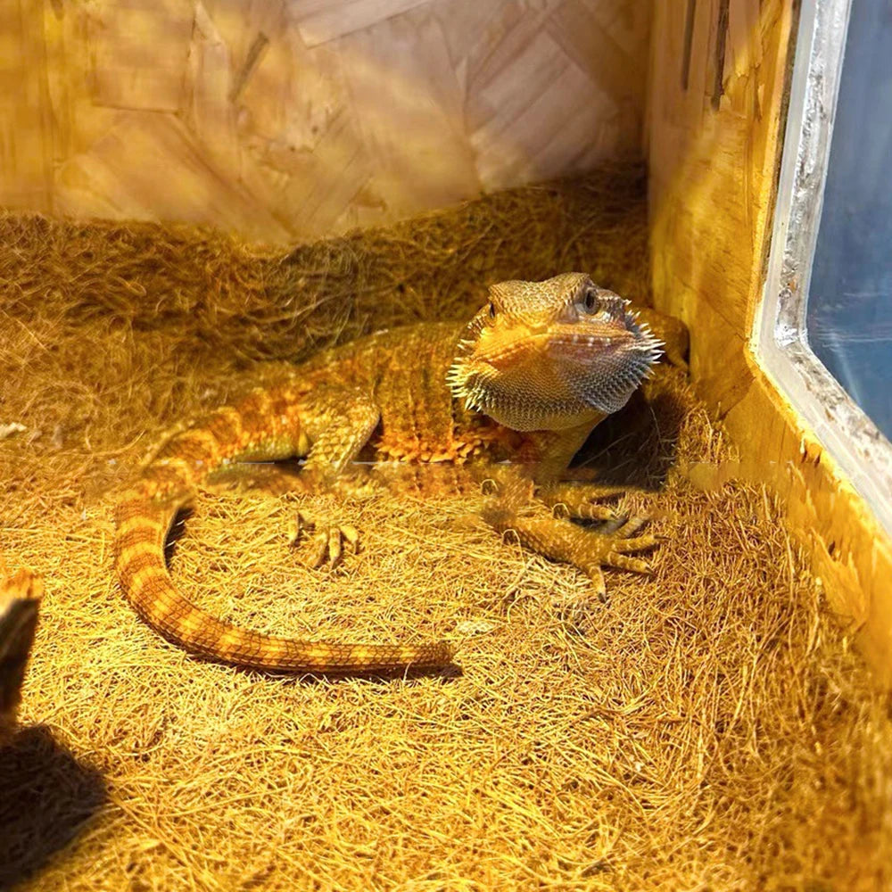 Coconut Fiber Terrarium Liner – Natural Coir Mat for Turtles, Lizards & Snakes