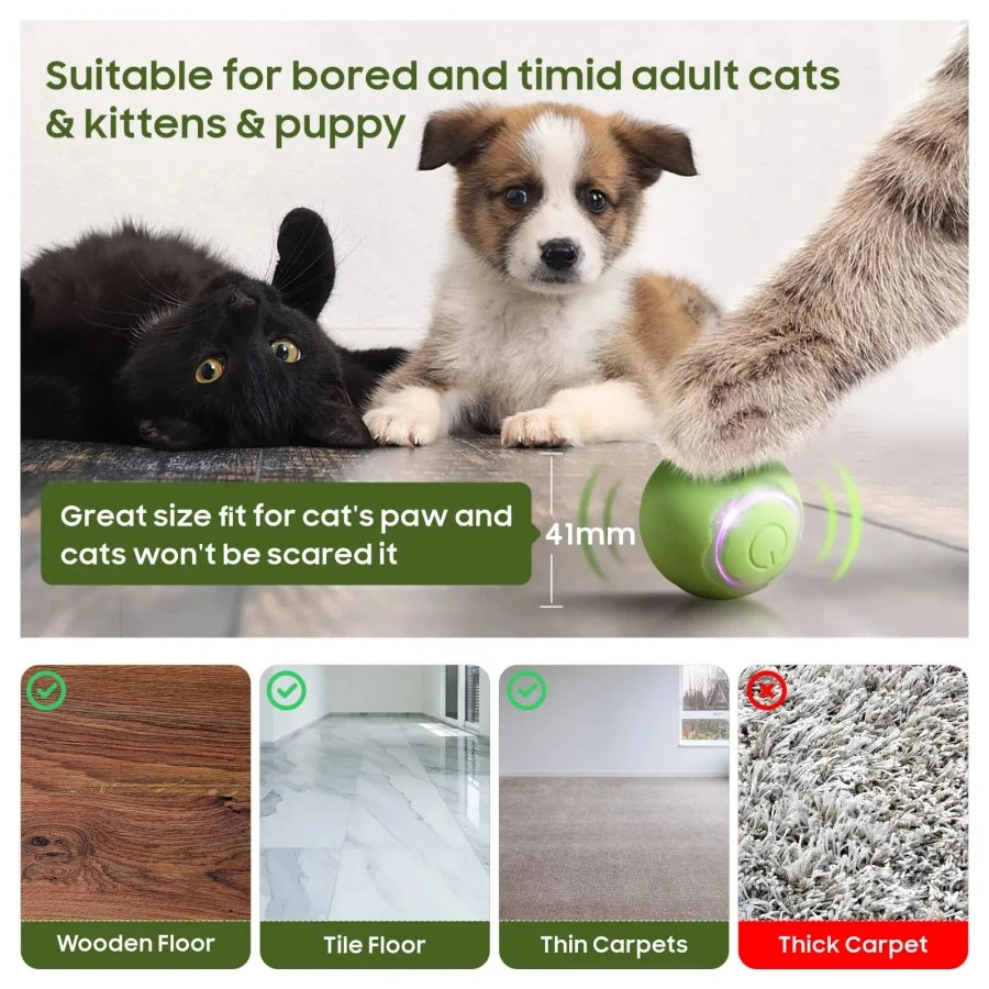 Automatic Rolling Cat Ball – Smart Self-Moving Kitten Toy