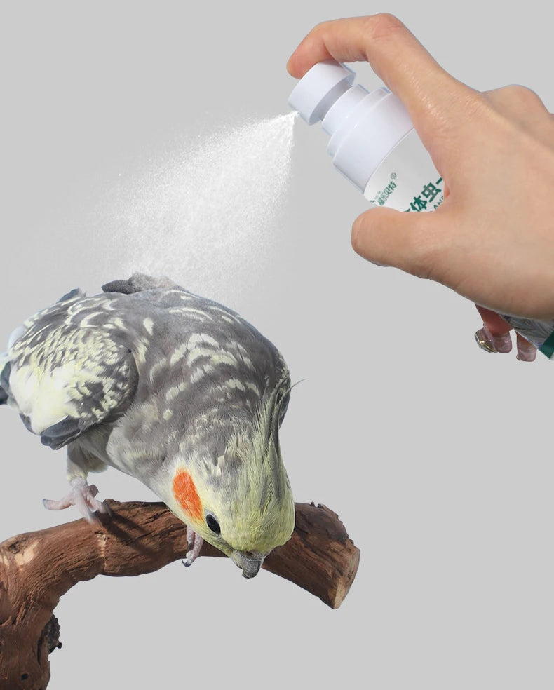 Parrot & Bird Insect Spray – Sterilization, Lice & Mite Control for Pet Birds