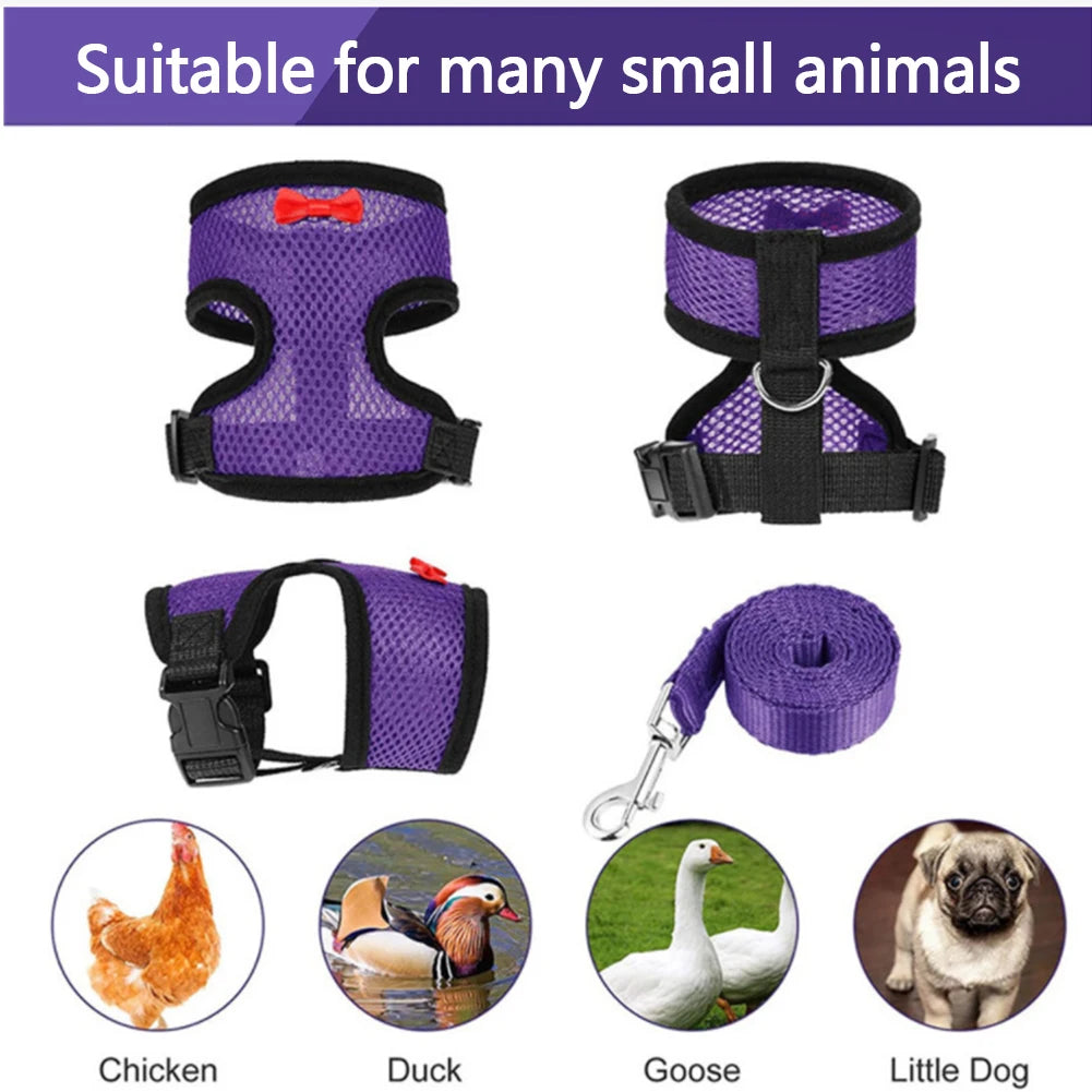 Chicken & Duck Vest Harness – Breathable Mesh Pet Belt with Bow, Collar & Leash