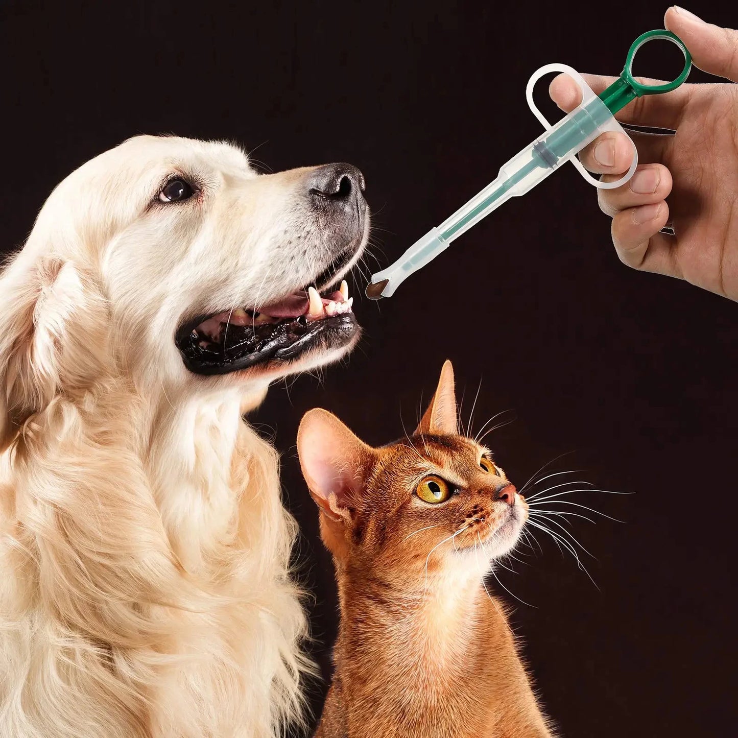 Pet Medication Dispenser – Pill & Treat Feeder for Cats & Dogs