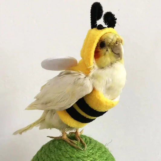 Bee-Shaped Bird Costume – Winter Warm Flying Suit & Hooded Hat for Parrots