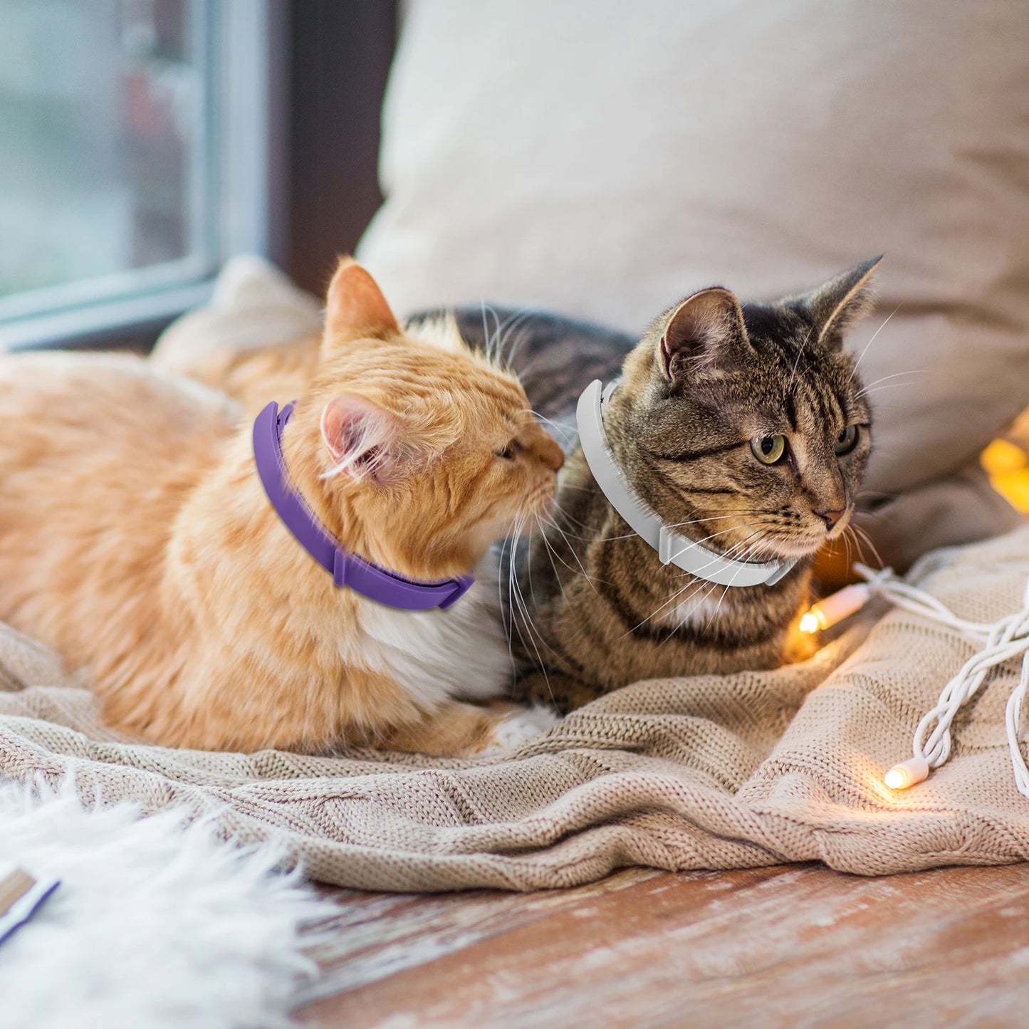 Pet Calming Collar for Cats & Dogs – Adjustable Pheromone Anxiety Relief, Natural Soothing & Relaxing