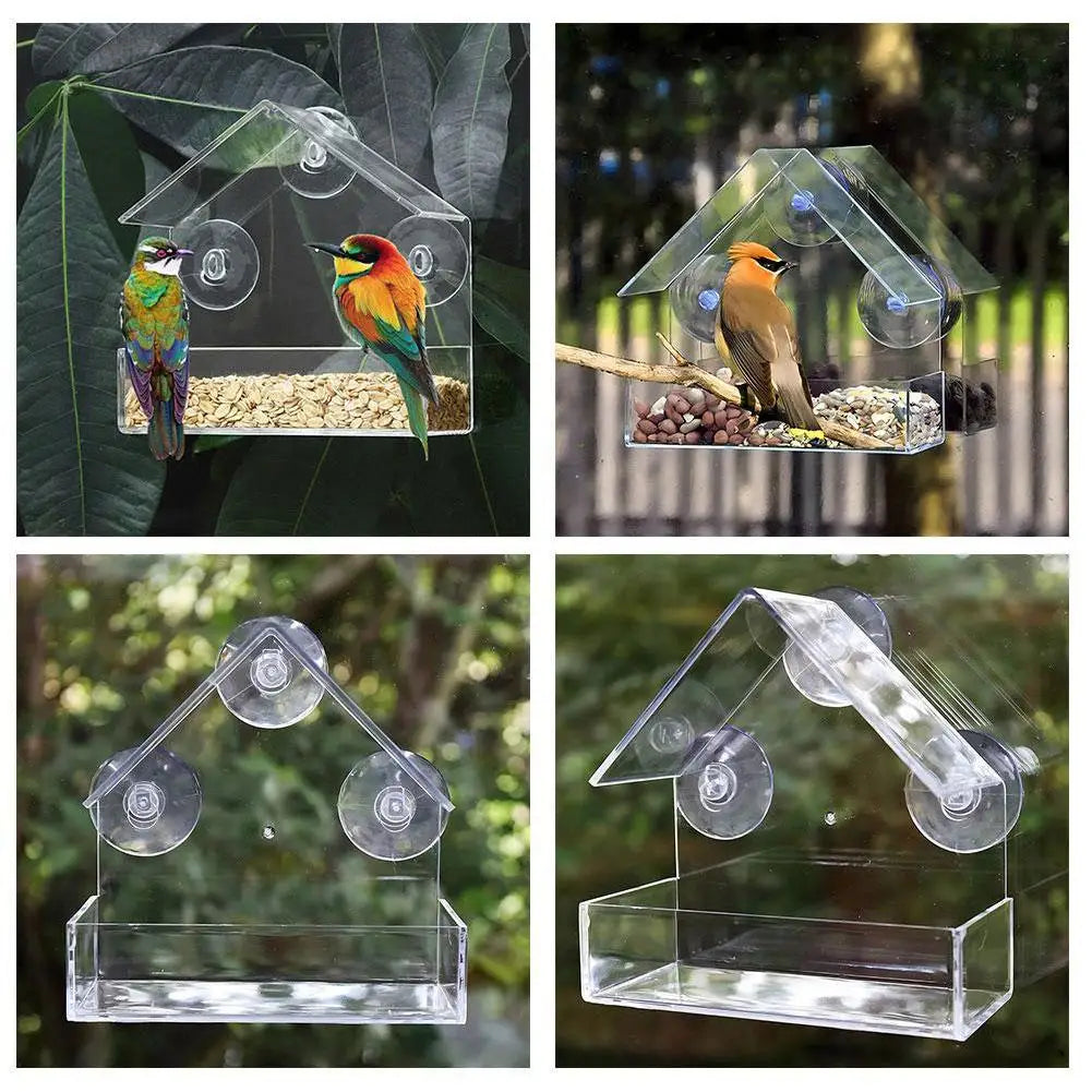 Outdoor Window Bird Feeder – Transparent Suction Cup Feeder for Garden & Balcony