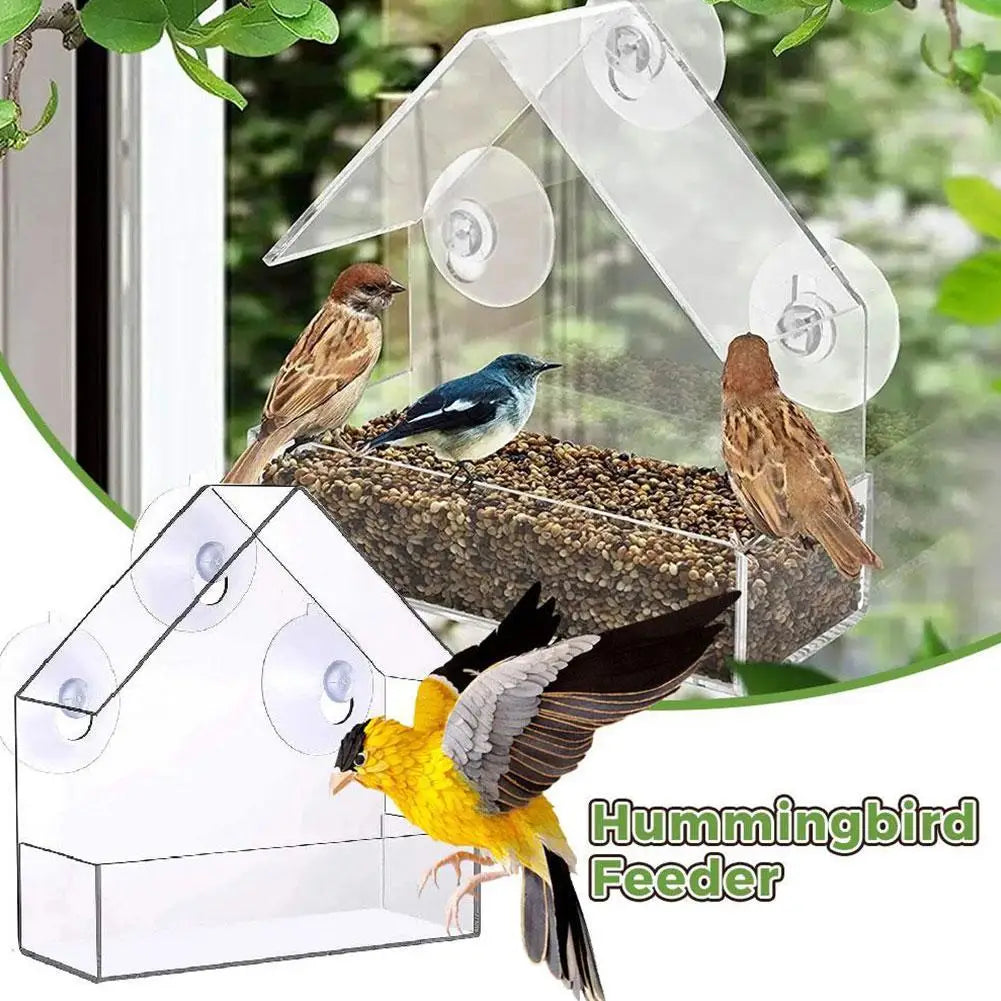 Outdoor Window Bird Feeder – Transparent Suction Cup Feeder for Garden & Balcony