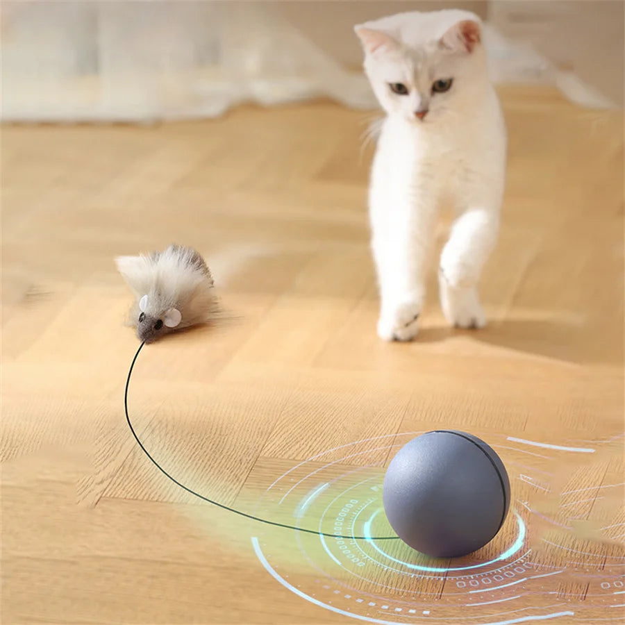 Battery-Operated Interactive Cat Toy – Rolling Ball with Tracking Mouse