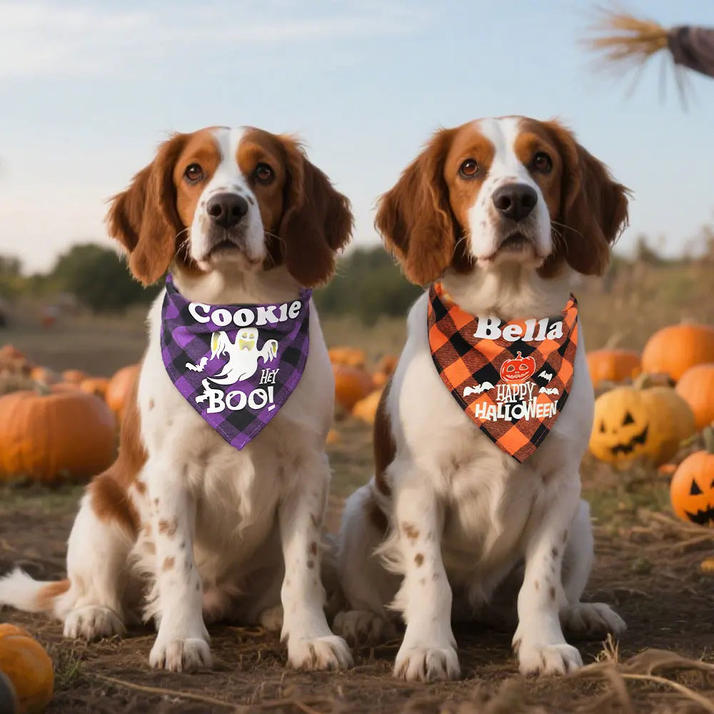 Personalized Dog Halloween Bandana – Reflective Pet Scarf for Night Parties & Safety