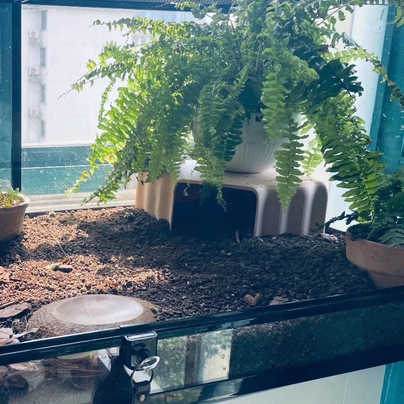 3D Reptile Cave Hideout – Terrarium Shelter Decor