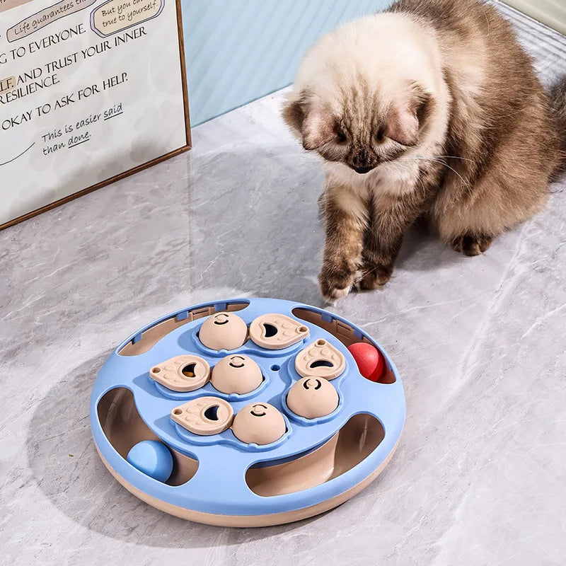 Interactive Cat Toy – Slow Feeder Turntable for Indoor Cats & Mental Stimulation