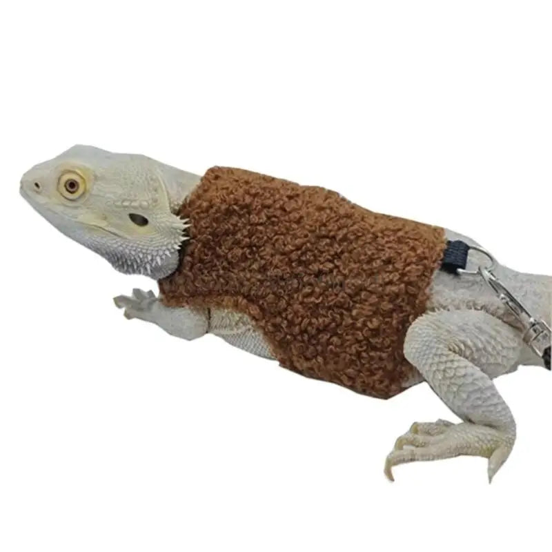 Bearded Dragon Harness with Leash – Warm Chest Costume for Lizards & Reptiles