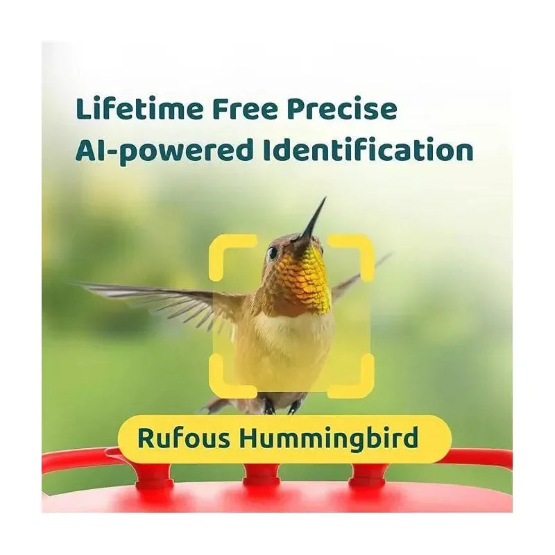 Smart Hummingbird Feeder with HD Cameras Solar Powered AI Bird Recognition Motion Detection Weatherproof 20oz Nectar Reservoir