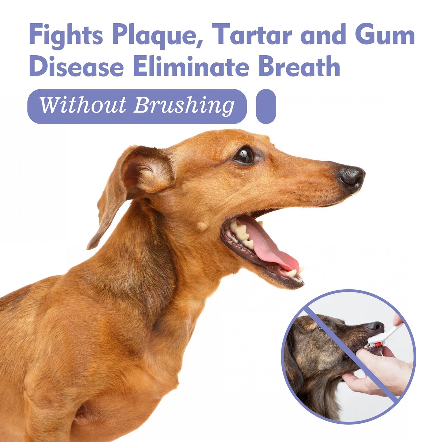 Oral Care Pet Spray – Tartar & Plaque Remover, Breath Freshener, No Brush Needed (30ml)