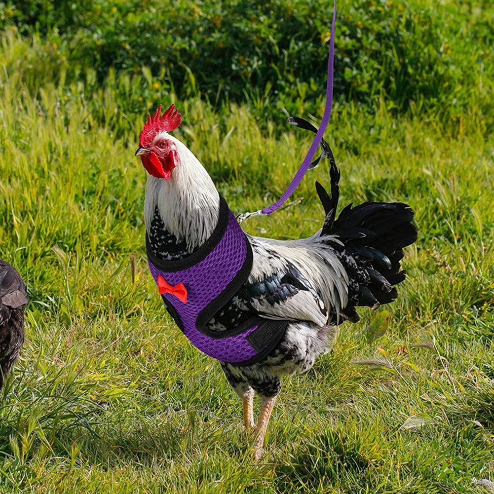 Chicken & Duck Vest Harness – Breathable Mesh Pet Belt with Bow, Collar & Leash