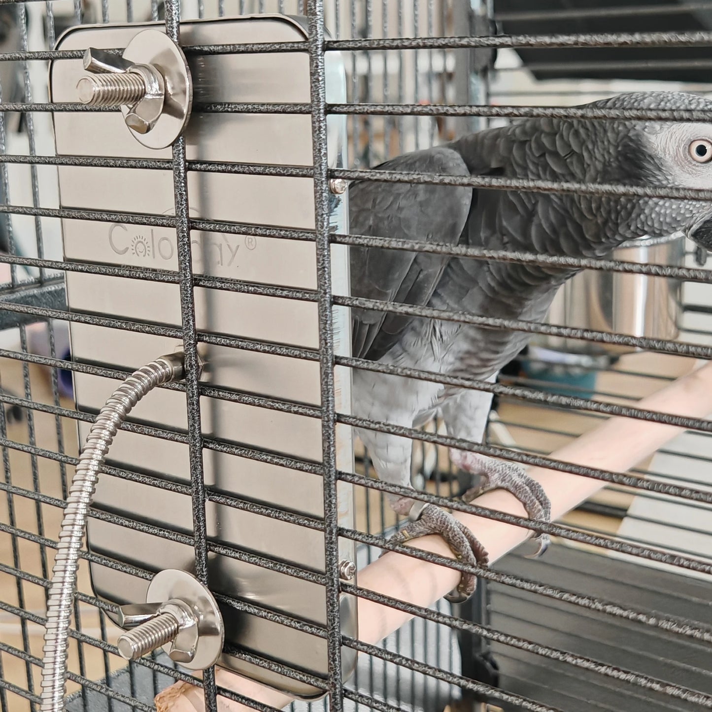 Bird Cage Heater Perch – Stainless Steel Parrot Warmer with Thermostat for Bird Cages