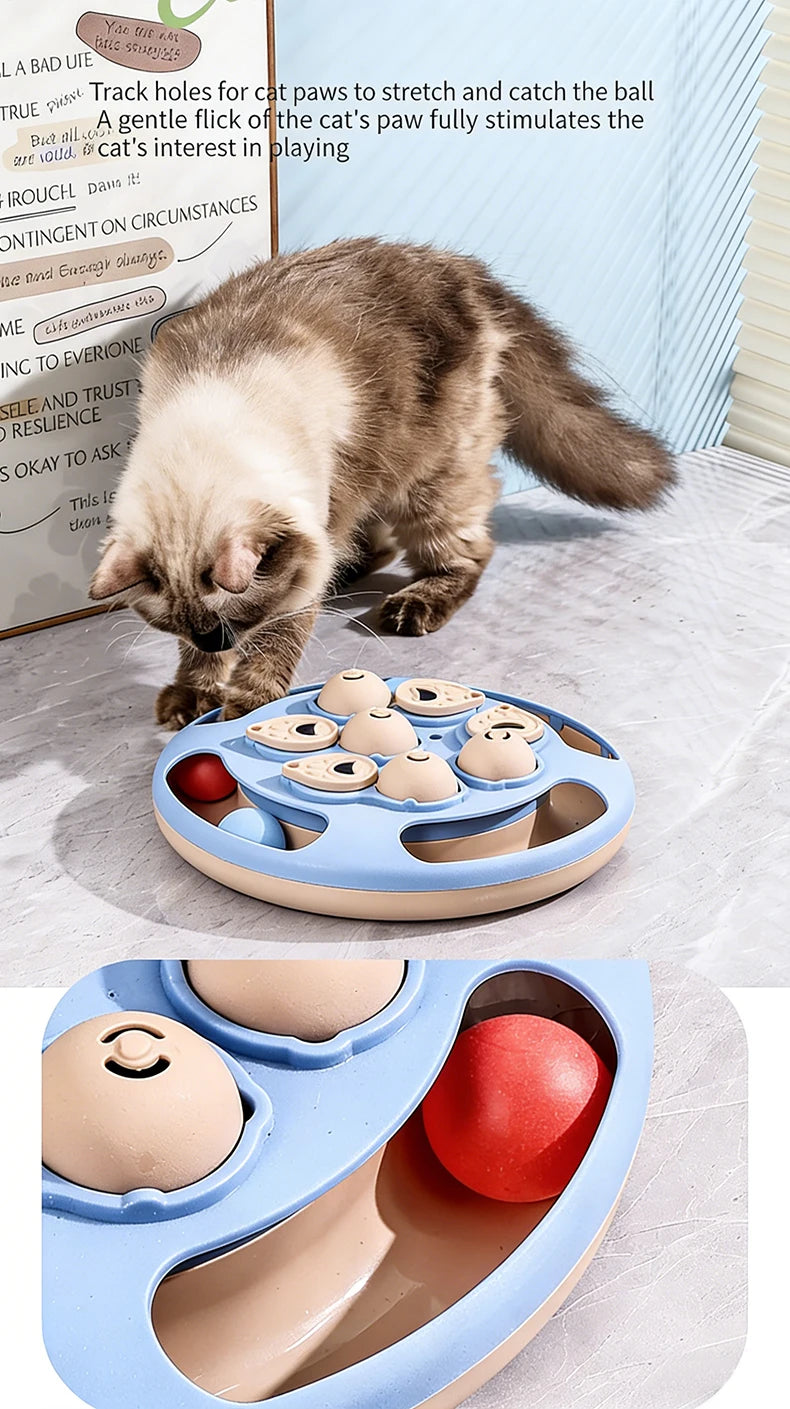Interactive Cat Toy – Slow Feeder Turntable for Indoor Cats & Mental Stimulation