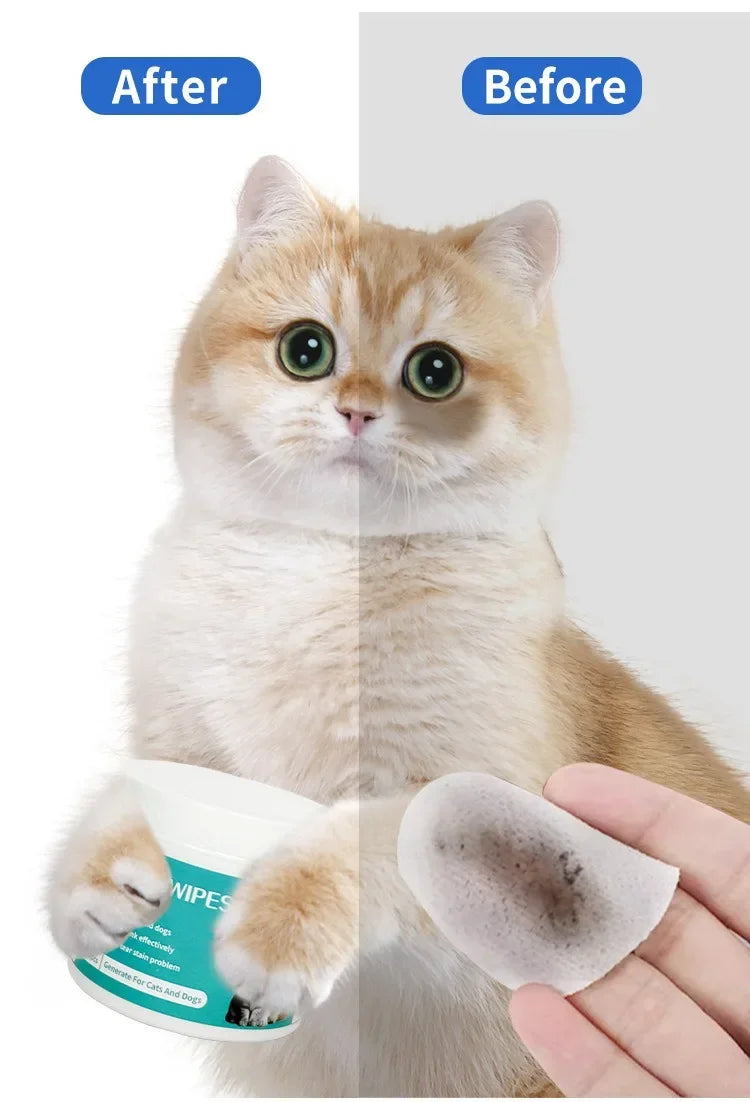 Pet Eye Wipes – Tear Stain Removal & Cleaning Wet Tissues for Cats