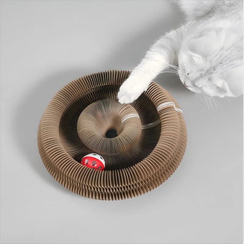 Kitten Curl Toy – Foldable Magic Cat Scratcher & Interactive Bed
