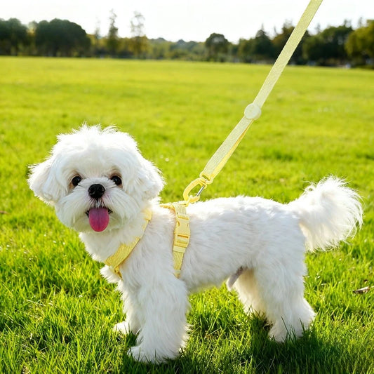 "Adjustable Reflective Puppy Harness & Leash Set for Small Dogs"