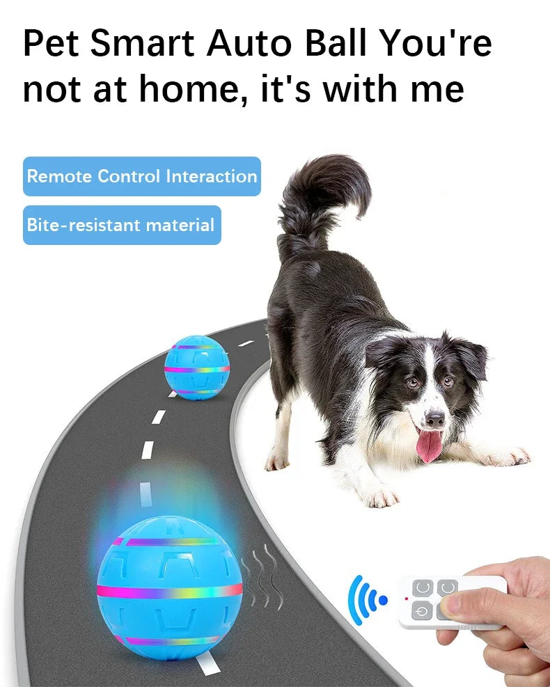 Remote Control Dog Toy Ball – Intelligent, Flash & Rechargeable Pet Toy