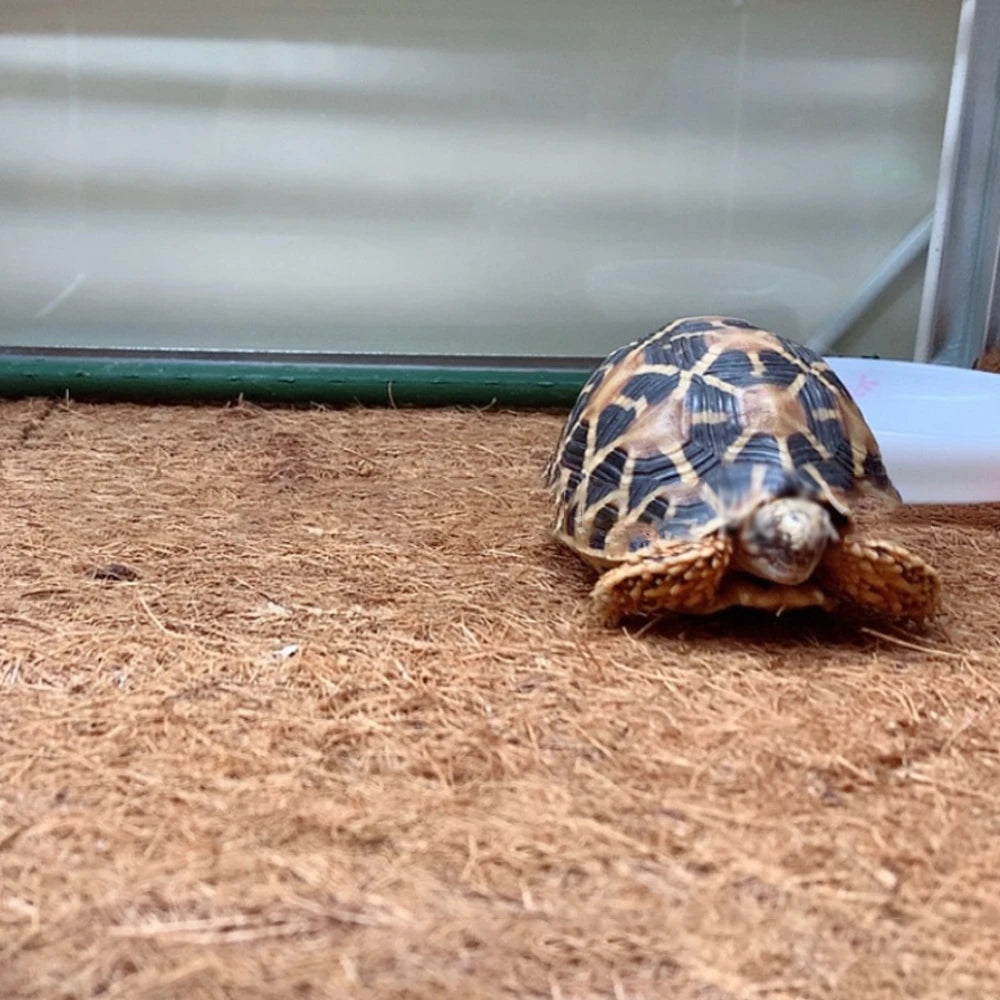 Coconut Fiber Terrarium Liner – Natural Coir Mat for Turtles, Tortoises, Lizards & Snakes